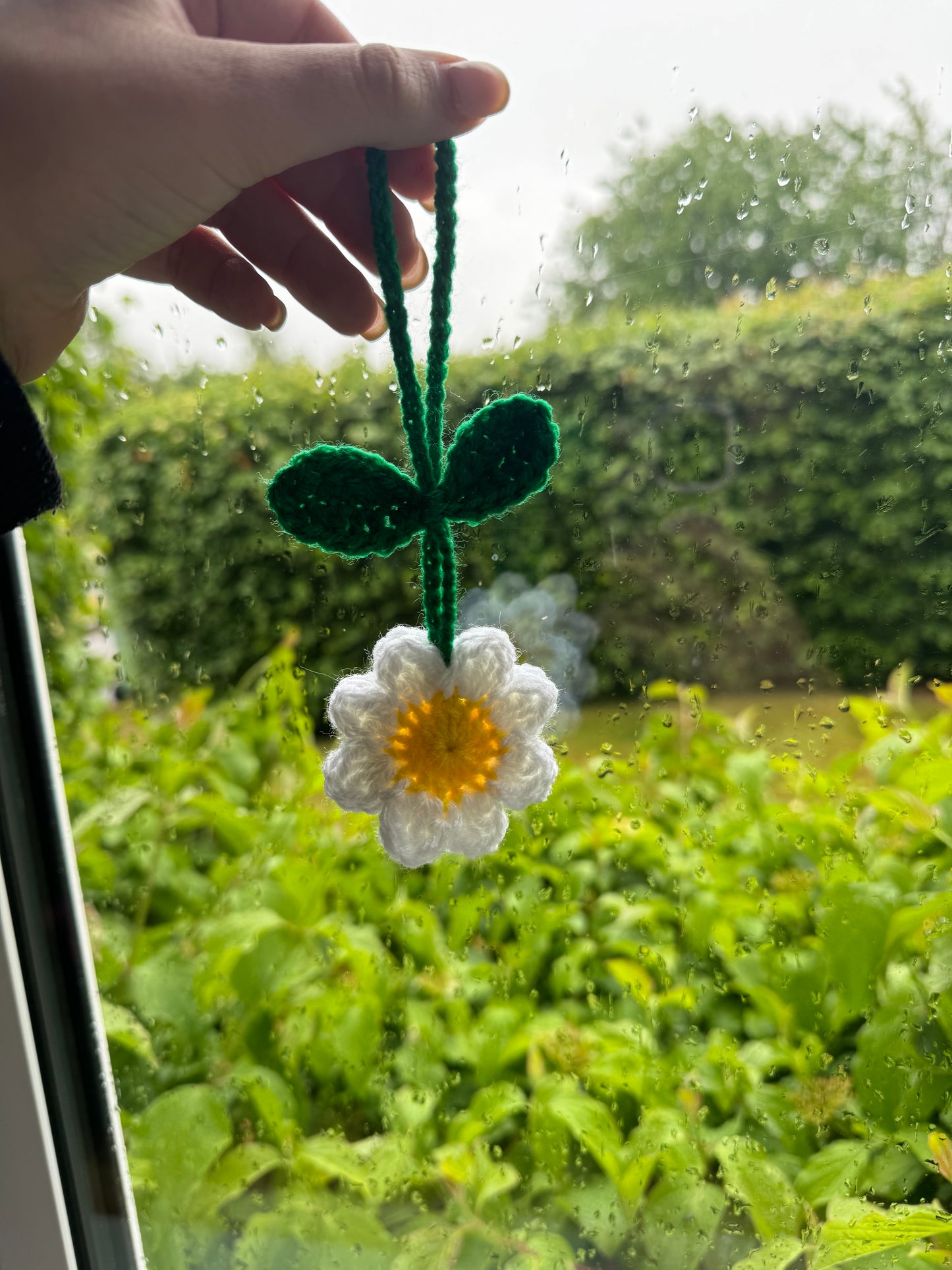 Flower Car Hanger