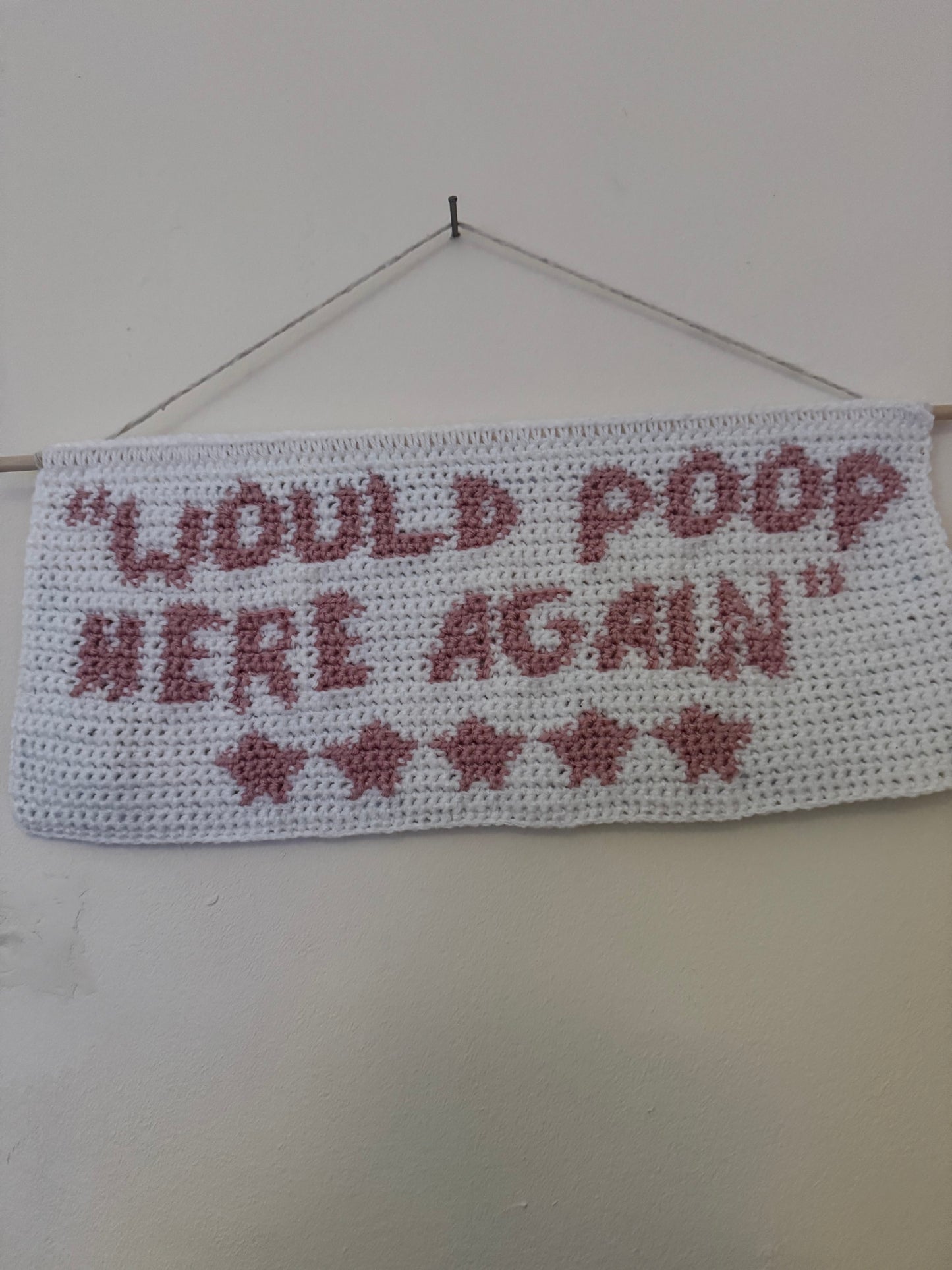 ‘Would Poop Here Again’ Wall Hanging