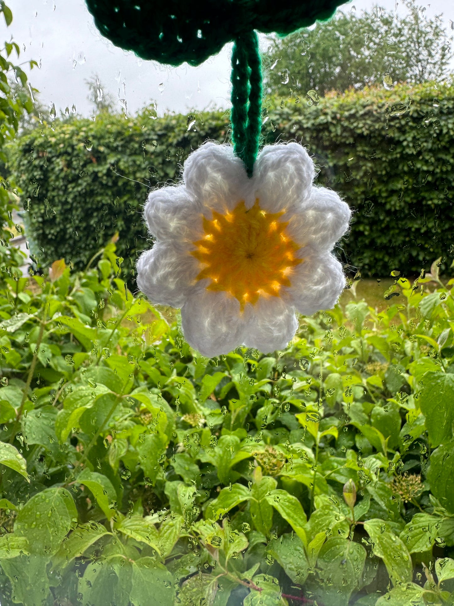 Flower Car Hanger