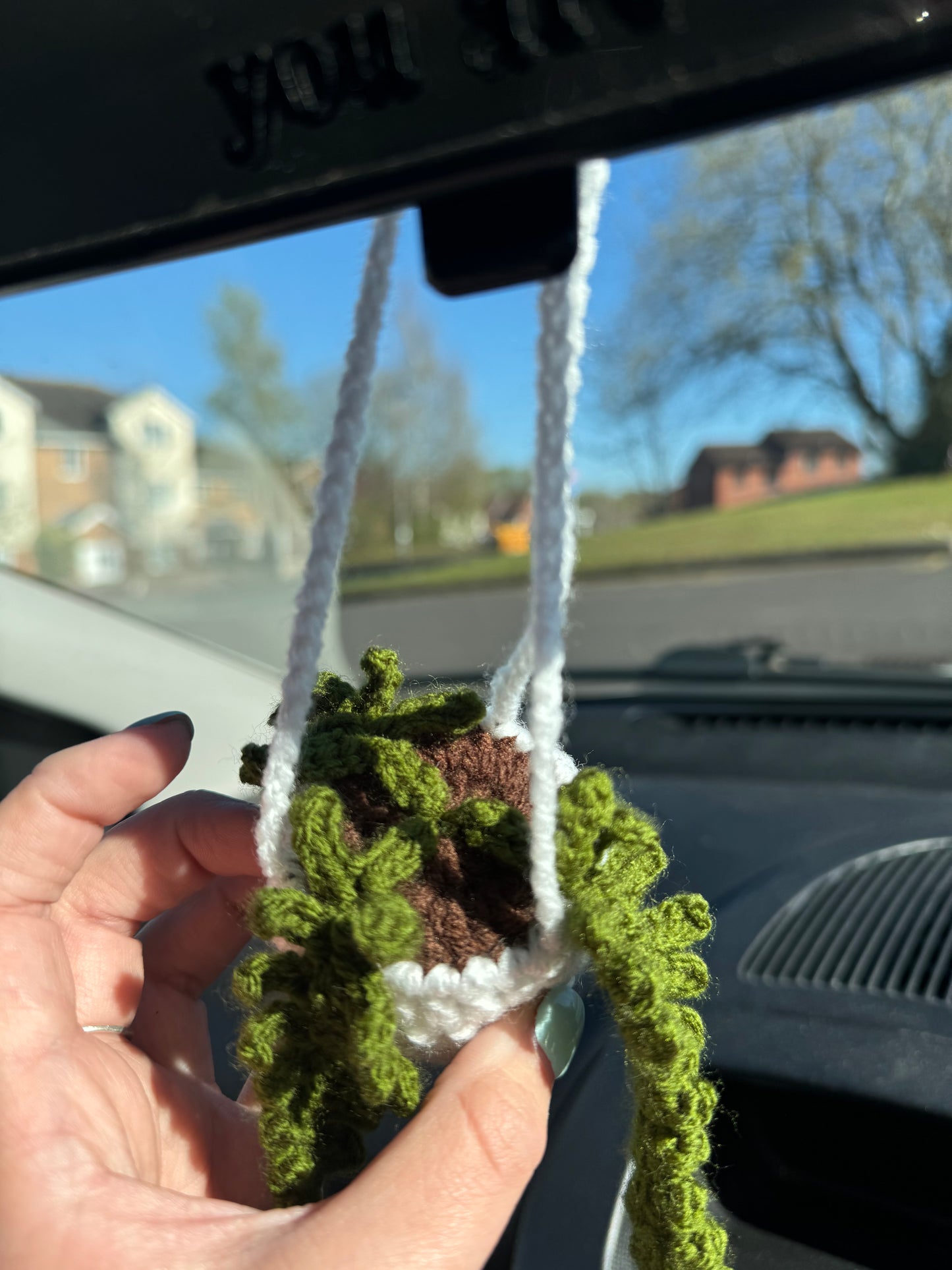 Plant Pot Car Hanger