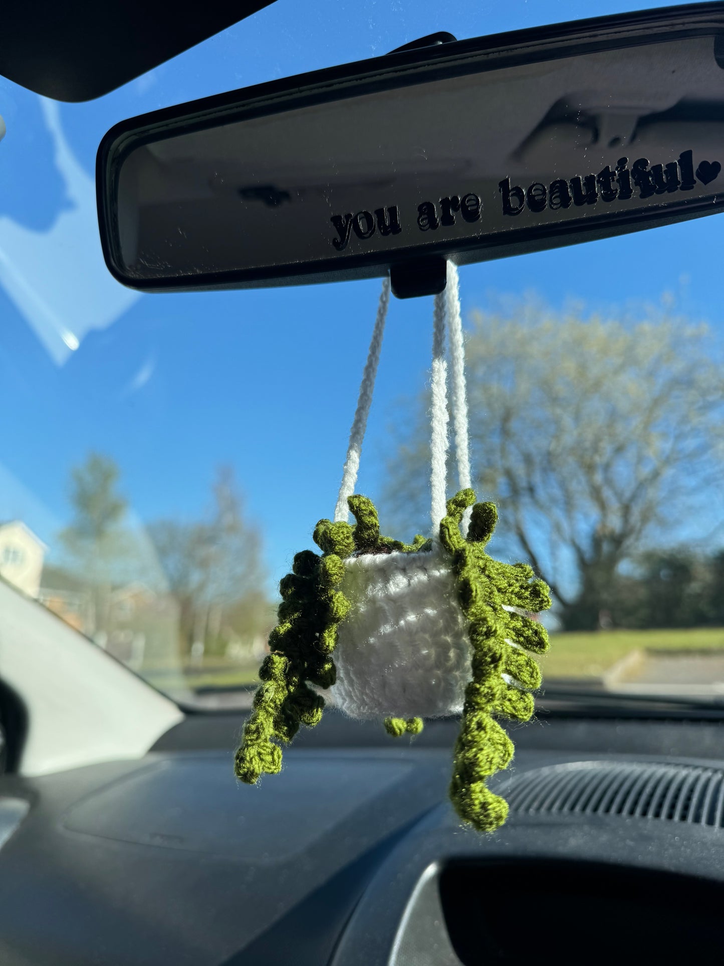 Plant Pot Car Hanger