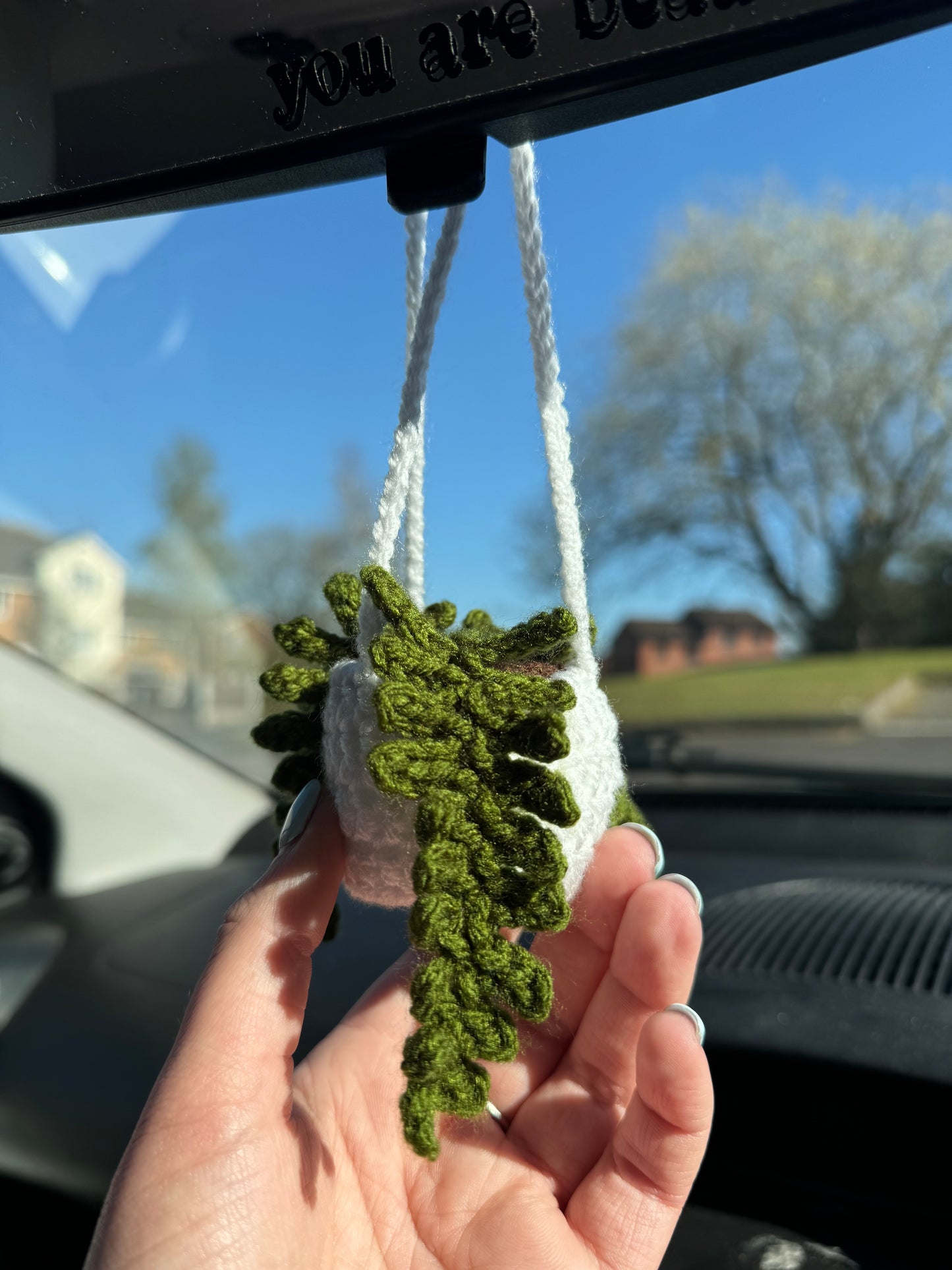 Plant Pot Car Hanger