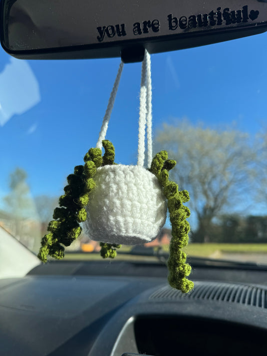 Plant Pot Car Hanger